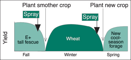 diagram showing planting schedule with a winter smother crop