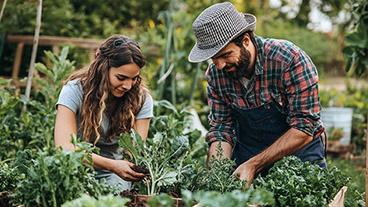 Young couple working in container garden