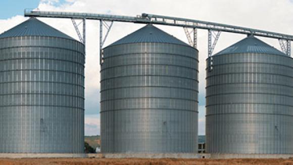 Three grain elevators